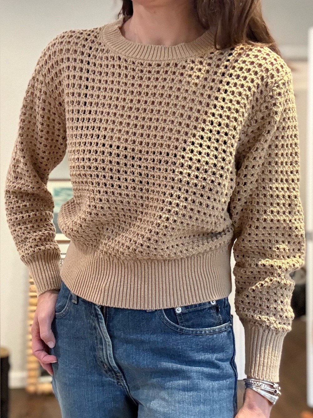 Ann Taylor Tan Open Knit Crochet Sweater